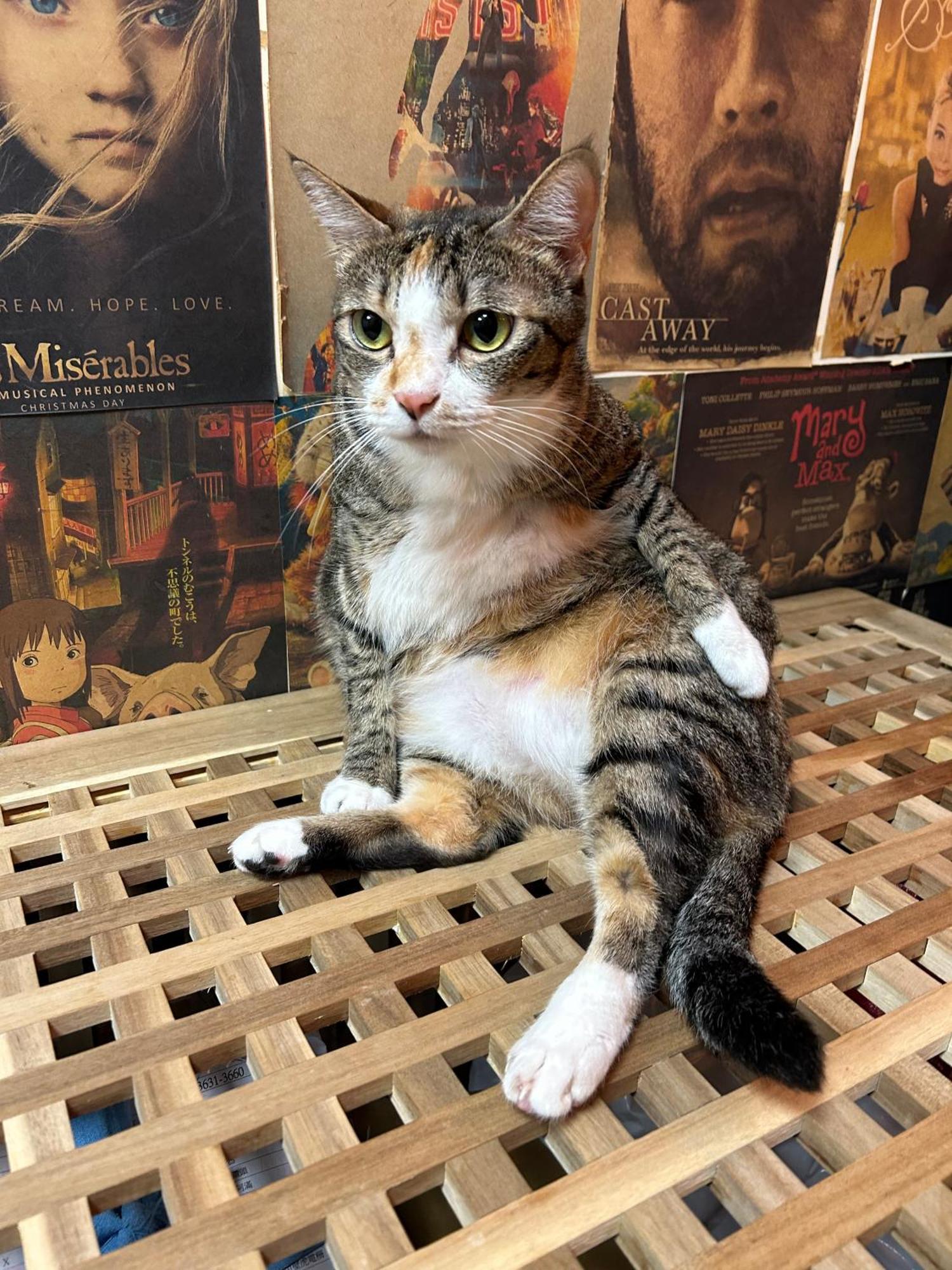 Taipei Triple Tiger Inn Eksteriør bilde